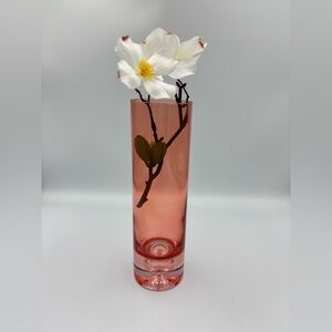 Hand Blown POLISH Peach- Pink Cylinder 
Art Glass Bubble Bottom Vase